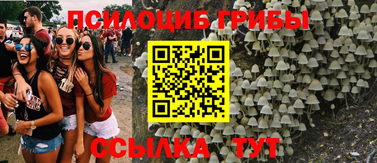 Галлюциногенные грибы прущие грибы Ханты-Мансийск